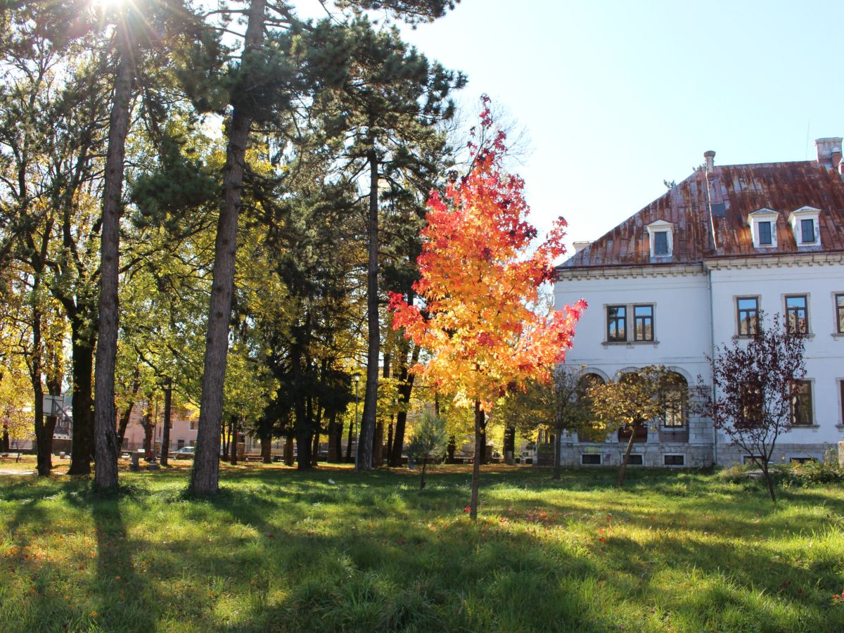 Tetovirana Jesen, Miladin&nbsp;Berić