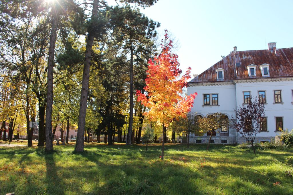 Tetovirana Jesen, Miladin&nbsp;Berić