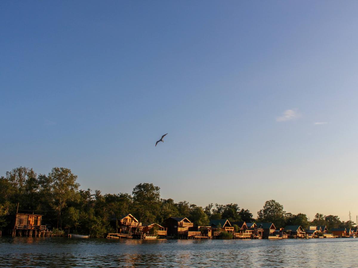 Podstanar sopstvene duše