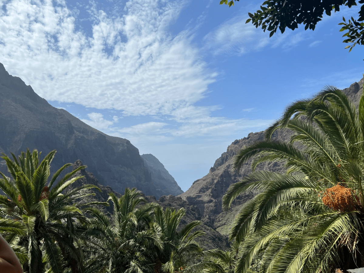 Tenerife long story&nbsp;short