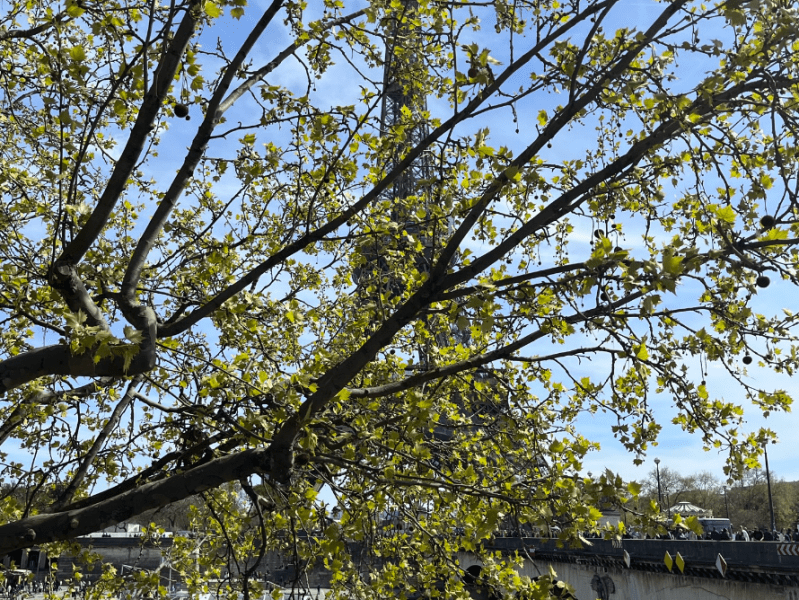 Un jour à&nbsp;Paris