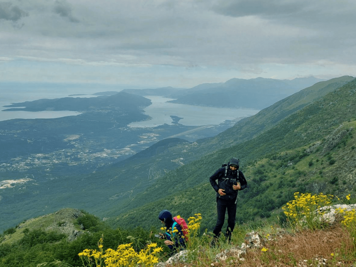 Koložunske grede &&nbsp;Rose