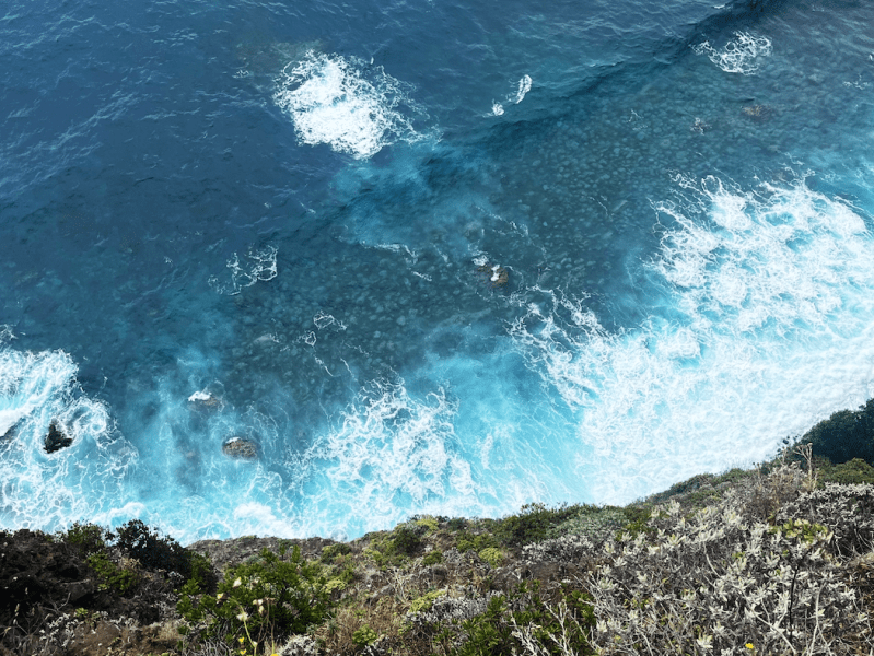 Ostrvo vječnog proljeća