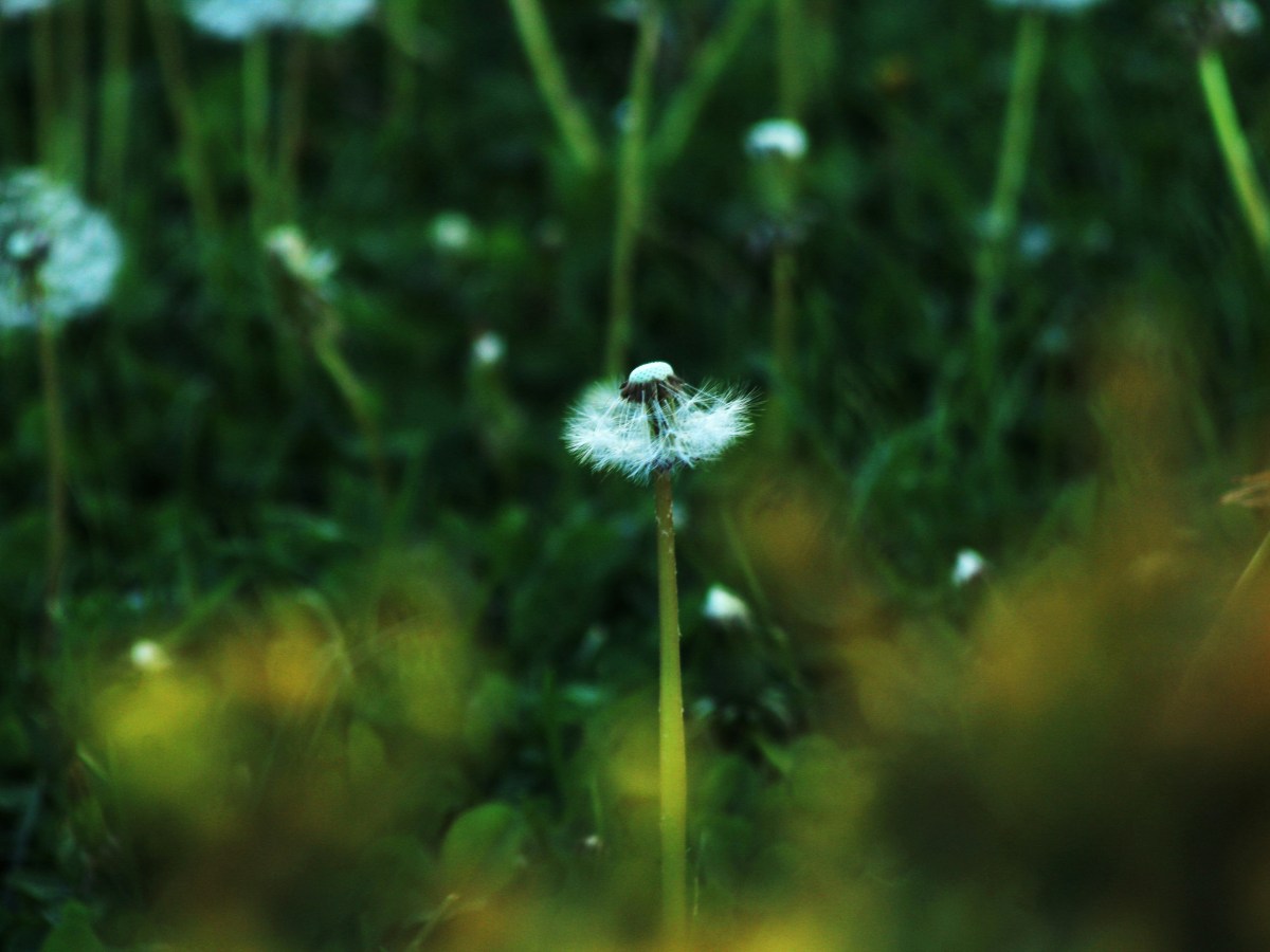 Zaborav – Blagoslov ili&nbsp;prokletstvo?