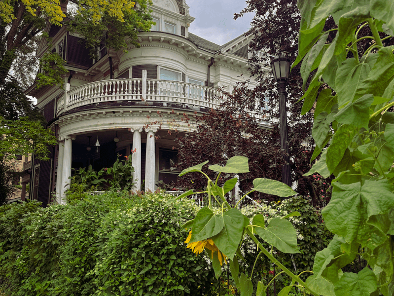 Prostrana ogoljenost